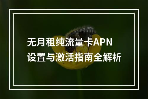 无月租纯流量卡APN设置与激活指南全解析