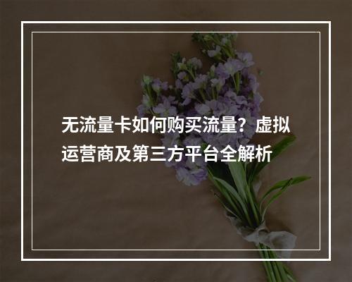 无流量卡如何购买流量？虚拟运营商及第三方平台全解析