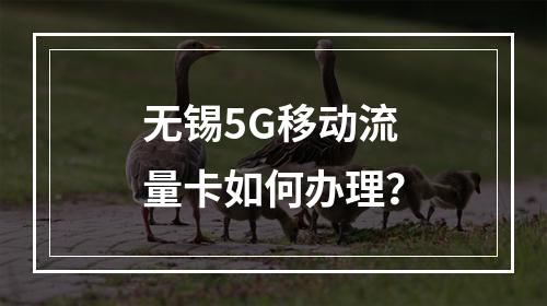 无锡5G移动流量卡如何办理？