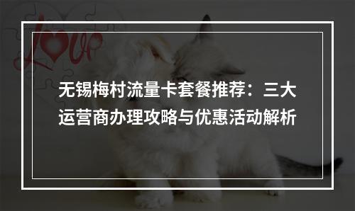 无锡梅村流量卡套餐推荐：三大运营商办理攻略与优惠活动解析