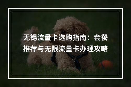 无锡流量卡选购指南：套餐推荐与无限流量卡办理攻略