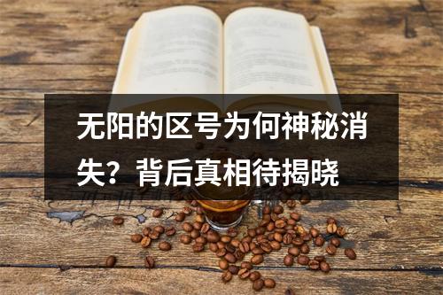无阳的区号为何神秘消失？背后真相待揭晓