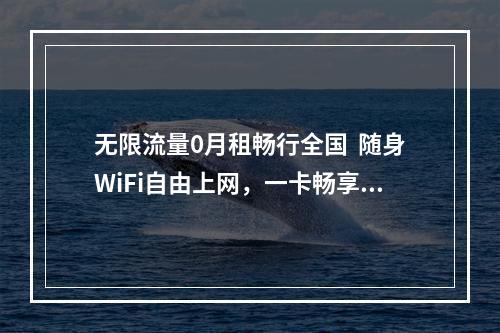 无限流量0月租畅行全国  随身WiFi自由上网，一卡畅享无忧