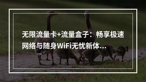 无限流量卡+流量盒子：畅享极速网络与随身WiFi无忧新体验