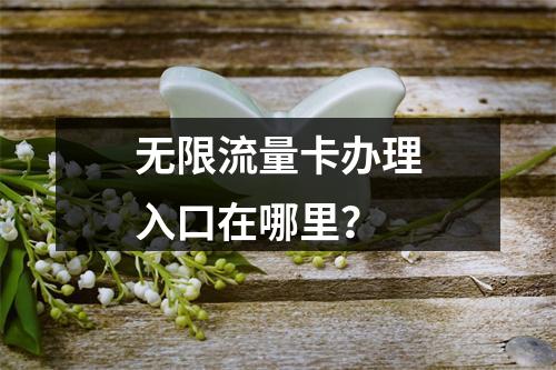 无限流量卡办理入口在哪里？