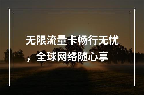 无限流量卡畅行无忧，全球网络随心享