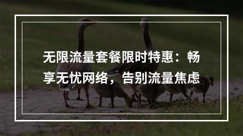 无限流量套餐限时特惠：畅享无忧网络，告别流量焦虑