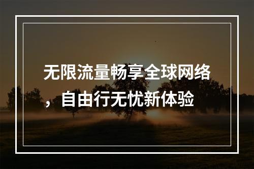 无限流量畅享全球网络，自由行无忧新体验