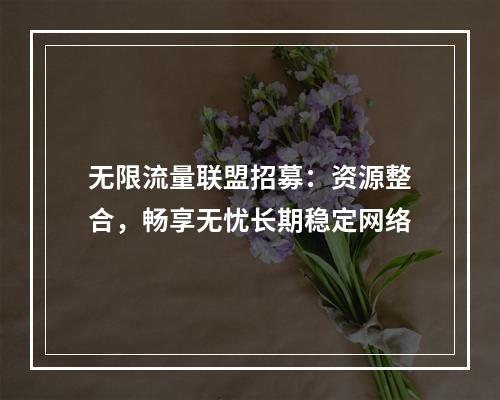 无限流量联盟招募：资源整合，畅享无忧长期稳定网络