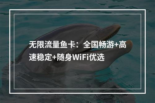 无限流量鱼卡：全国畅游+高速稳定+随身WiFi优选