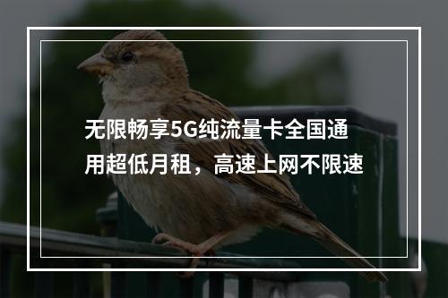 无限畅享5G纯流量卡全国通用超低月租，高速上网不限速