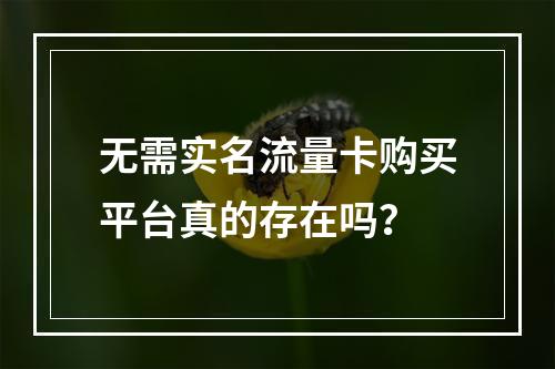 无需实名流量卡购买平台真的存在吗？