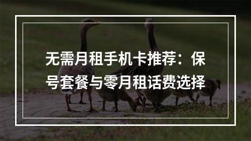 无需月租手机卡推荐：保号套餐与零月租话费选择