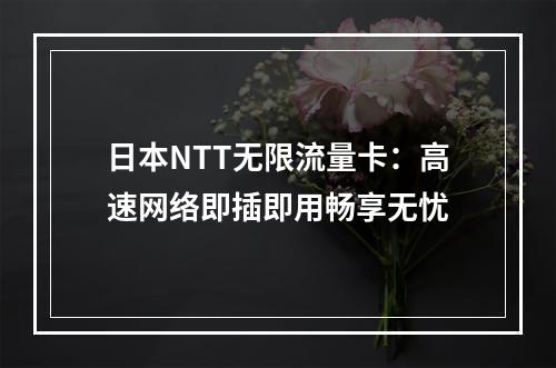 日本NTT无限流量卡：高速网络即插即用畅享无忧