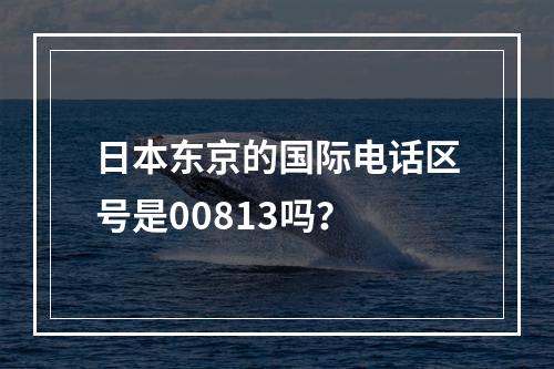 日本东京的国际电话区号是00813吗？