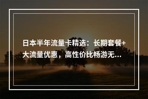 日本半年流量卡精选：长期套餐+大流量优惠，高性价比畅游无忧