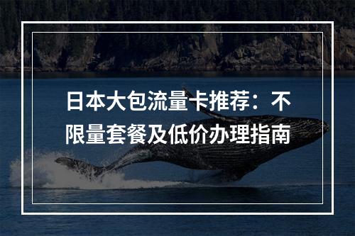 日本大包流量卡推荐：不限量套餐及低价办理指南