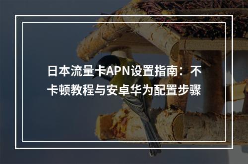 日本流量卡APN设置指南：不卡顿教程与安卓华为配置步骤