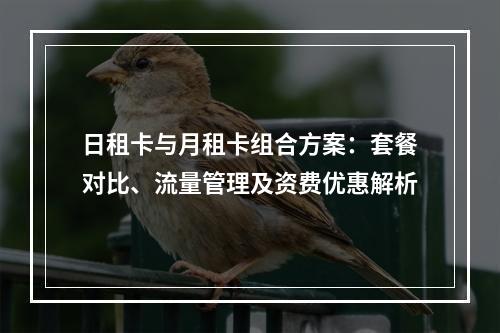 日租卡与月租卡组合方案：套餐对比、流量管理及资费优惠解析