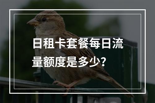 日租卡套餐每日流量额度是多少？