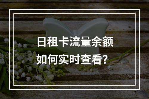 日租卡流量余额如何实时查看？
