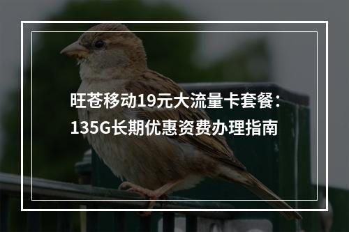 旺苍移动19元大流量卡套餐：135G长期优惠资费办理指南
