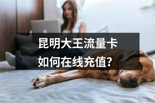 昆明大王流量卡如何在线充值？