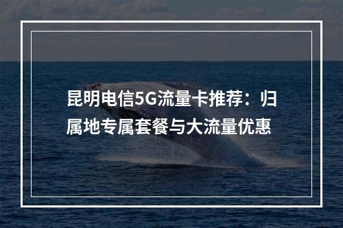 昆明电信5G流量卡推荐：归属地专属套餐与大流量优惠