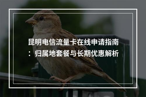 昆明电信流量卡在线申请指南：归属地套餐与长期优惠解析