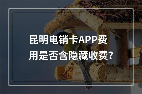 昆明电销卡APP费用是否含隐藏收费？