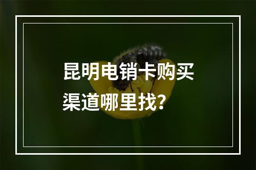 昆明电销卡购买渠道哪里找？