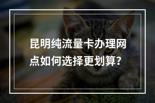 昆明纯流量卡办理网点如何选择更划算？