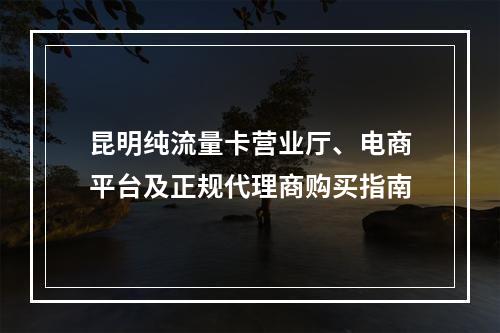 昆明纯流量卡营业厅、电商平台及正规代理商购买指南