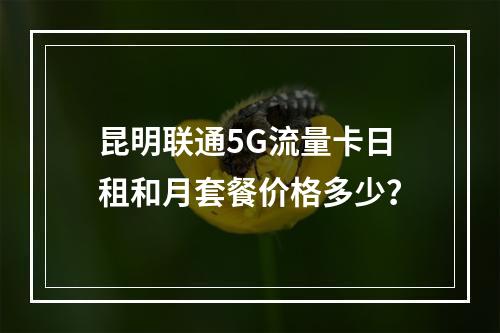 昆明联通5G流量卡日租和月套餐价格多少？