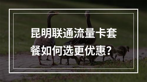 昆明联通流量卡套餐如何选更优惠？