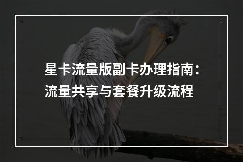 星卡流量版副卡办理指南：流量共享与套餐升级流程