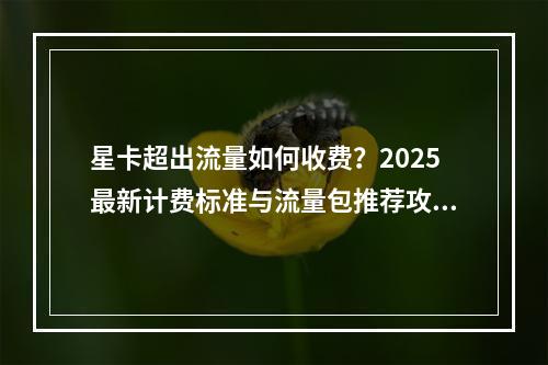 星卡超出流量如何收费？2025最新计费标准与流量包推荐攻略