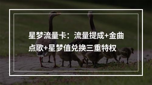 星梦流量卡：流量提成+金曲点歌+星梦值兑换三重特权