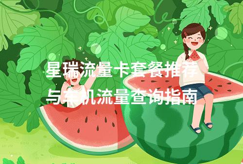 星瑞流量卡套餐推荐与车机流量查询指南