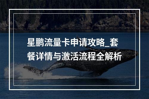 星鹏流量卡申请攻略_套餐详情与激活流程全解析
