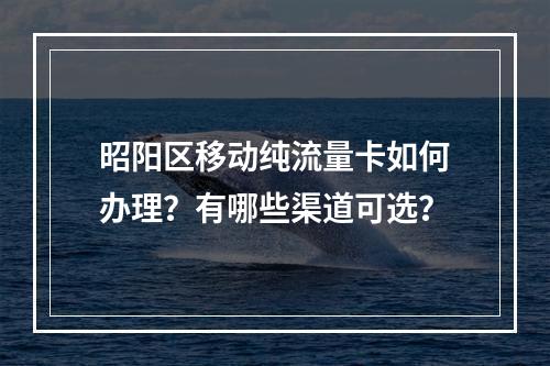 昭阳区移动纯流量卡如何办理？有哪些渠道可选？