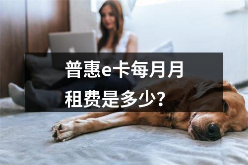 普惠e卡每月月租费是多少？