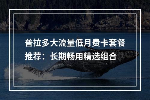 普拉多大流量低月费卡套餐推荐：长期畅用精选组合