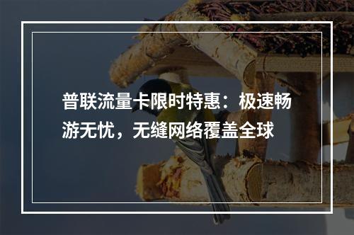 普联流量卡限时特惠：极速畅游无忧，无缝网络覆盖全球
