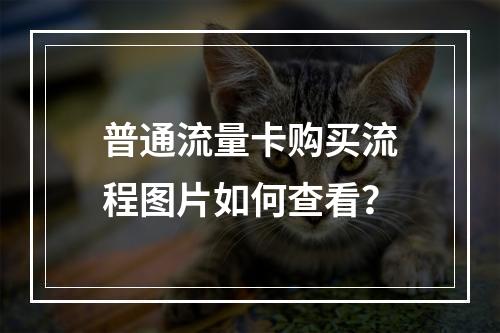 普通流量卡购买流程图片如何查看？