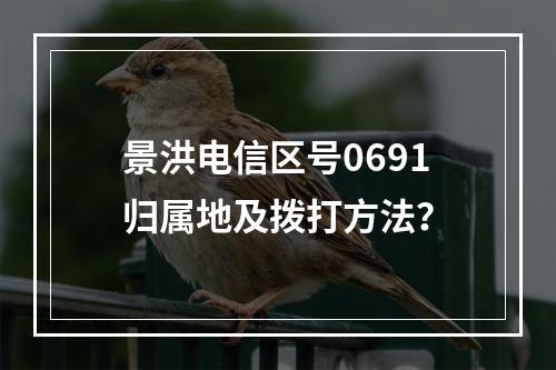 景洪电信区号0691归属地及拨打方法？