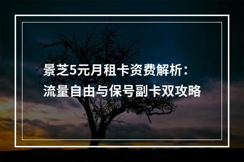 景芝5元月租卡资费解析：流量自由与保号副卡双攻略
