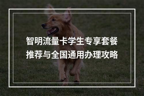 智明流量卡学生专享套餐推荐与全国通用办理攻略