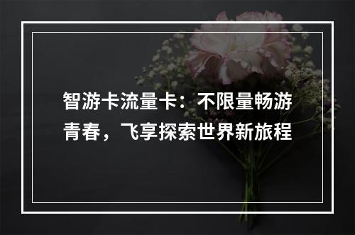 智游卡流量卡：不限量畅游青春，飞享探索世界新旅程
