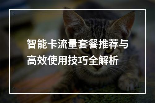 智能卡流量套餐推荐与高效使用技巧全解析